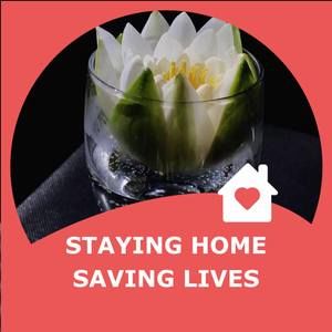 Meet your Posher, Maggie